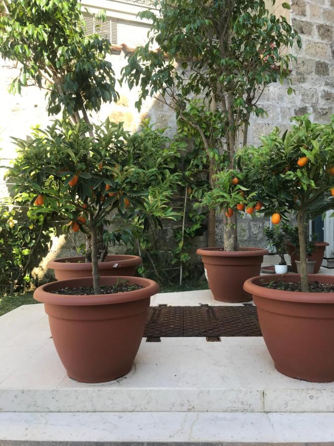 Il Cavaliere Bed And Breakfast 카세르타 외부 사진